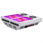 LED Growlampe