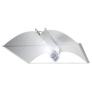 MHL Growlampe