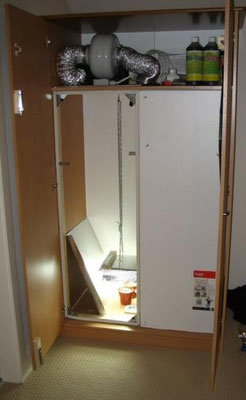 Hanfanbau Growroom Indoor Growbox (Anbauschrank) Cannabis Anbau