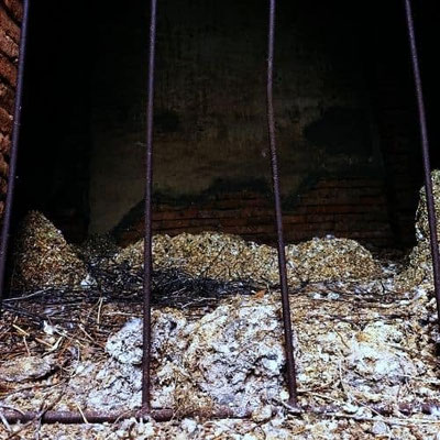 Fledermaus Guano