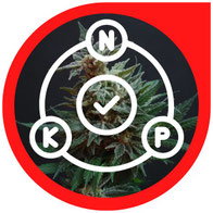 Wie & wann Autoflowering Cannabis düngen - Nährstoffe für Automatic Cannabispflanzen