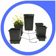 Autopot Hydroponics: Der Weg zu stressfreiem und ertragreichem Cannabisanbau!