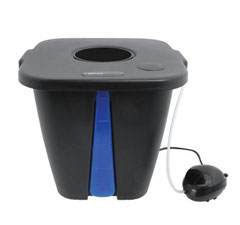 DWC Hydroponik-System für eine Pflanze