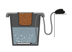 DWC Hydroponik-System Querschnitt