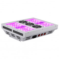LED Growlampen