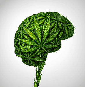 cannabis sorten unterschiedliche wirkung durch unterschiede im wetter