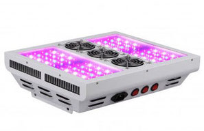 LED ( light-emitting diode) Grow Lampen - Leuchtdiode