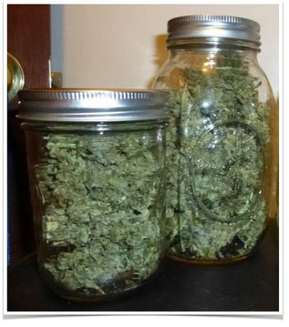 Cannabis in Glas