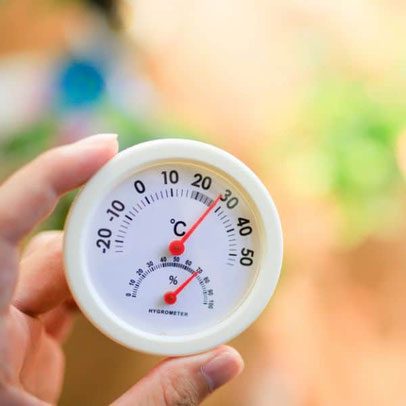 cannabis anbau temperatur messung