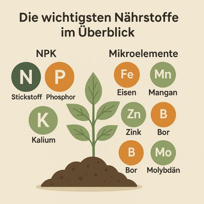 Nährstoffe im Überblick