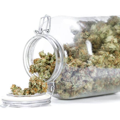 Cannabis in Einmachglas zur Fermentierung