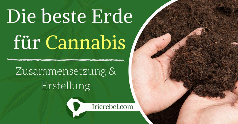 Die beste Erde für Cannabis