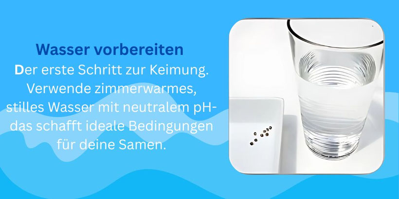 Wasser für die Keimung vorbereiten