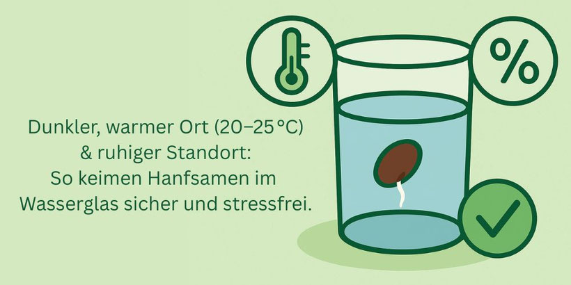 Bedingungen zum Keimen im Wasserglas