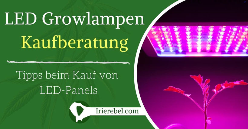 LED Grow Lampen Kaufberatung Tipps beim Kauf von LED-Panels