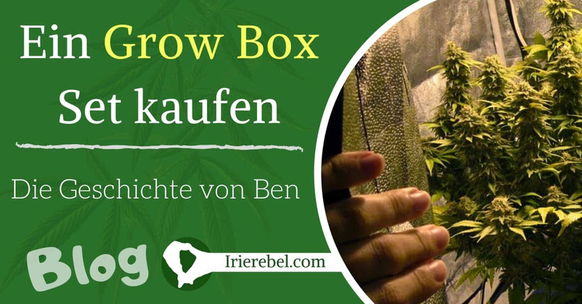 Ein Grow Box Set kaufen - Die Geschichte von Ben