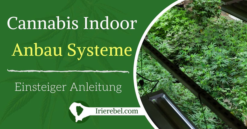 Cannabis Indoor Anbau Systeme - Einsteiger Anleitung