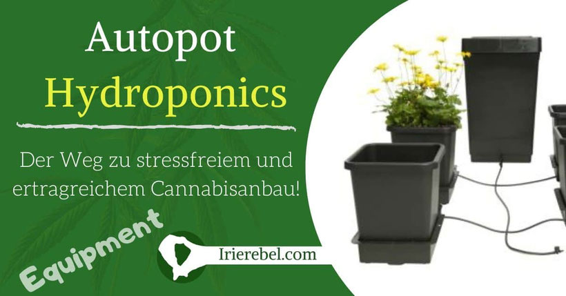 Autopot Hydroponics Der Weg zu stressfreiem und ertragreichem Cannabisanbau!