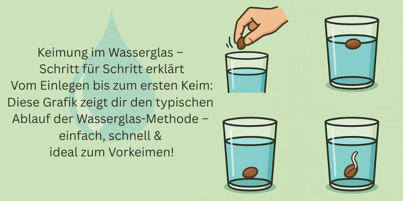 Wasserglas Methode Ablauf