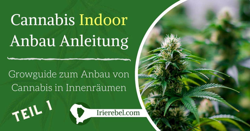 Cannabis Indoor Anbau Anleitung Teil 1