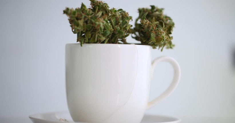 Wie man Cannabis-Tee mit Cannabisöl oder Canna-Butter macht