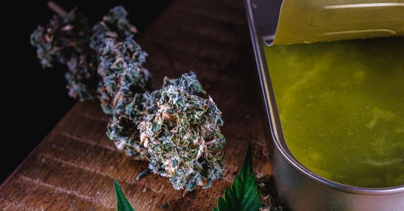 Cannabis Butter Grün