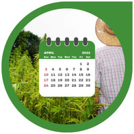 Cannabis Grow Kalender Europa