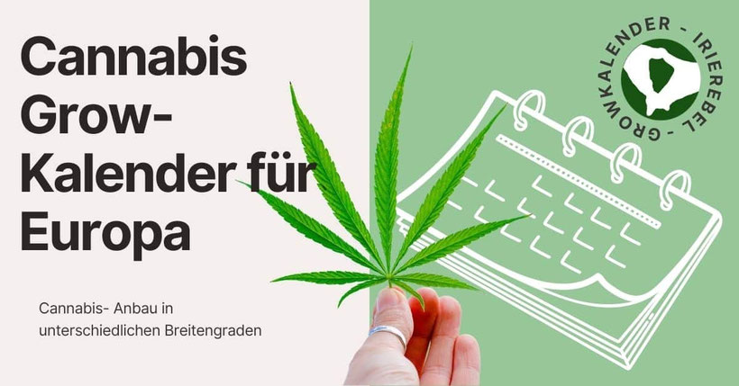 Growkalender Cannabis Anbau Europa