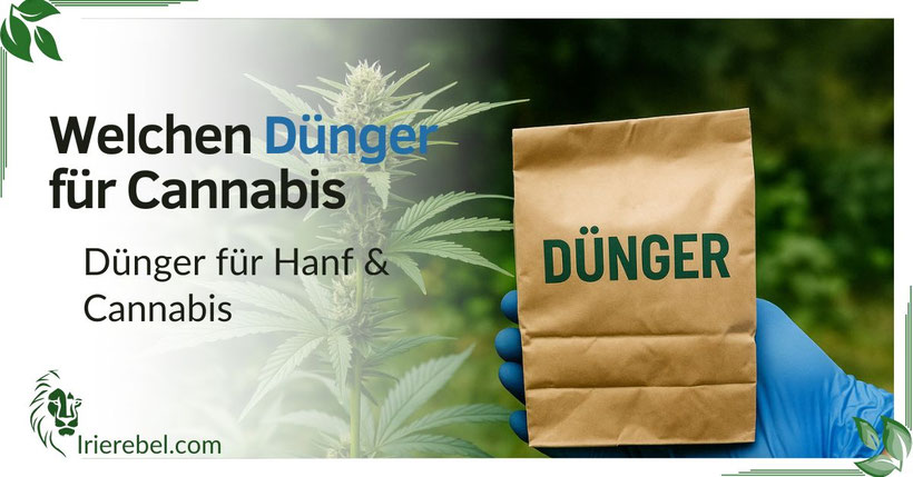 cannabis dünger empfehlungen