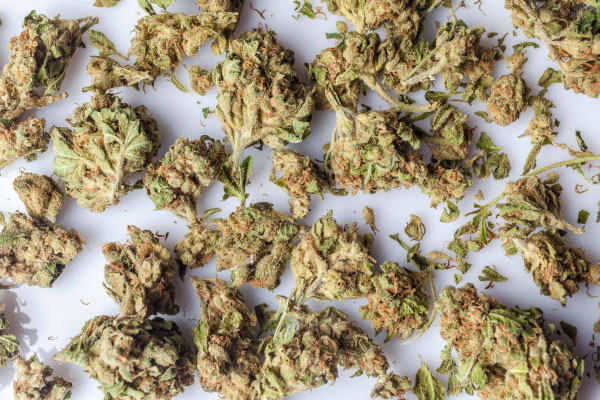 cannabis veredeln