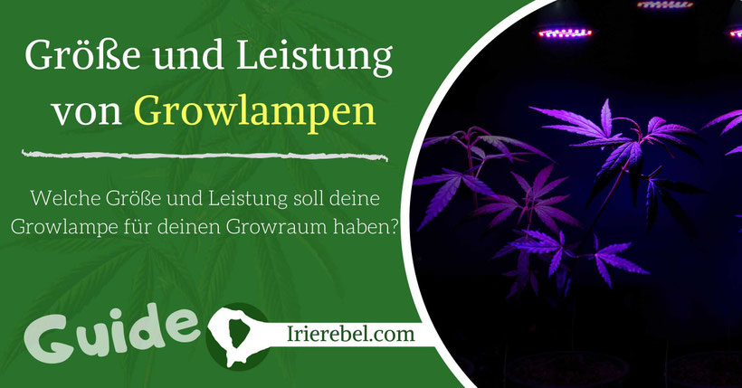 Leistung und Größe von Growlampen
