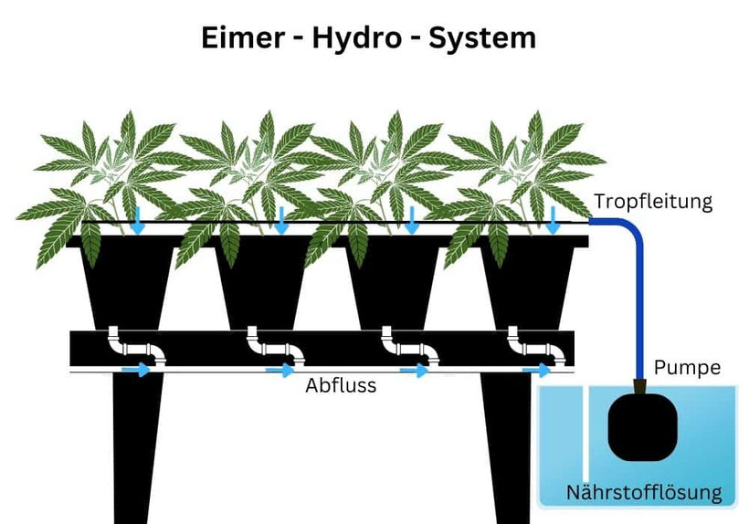 Eimer Hydrosystem Diagram