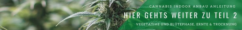 Teil 2 Cannabis Indoor Anbau Anleitung