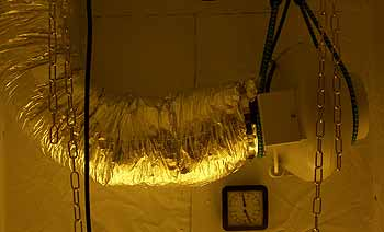 Lüftung Growbox