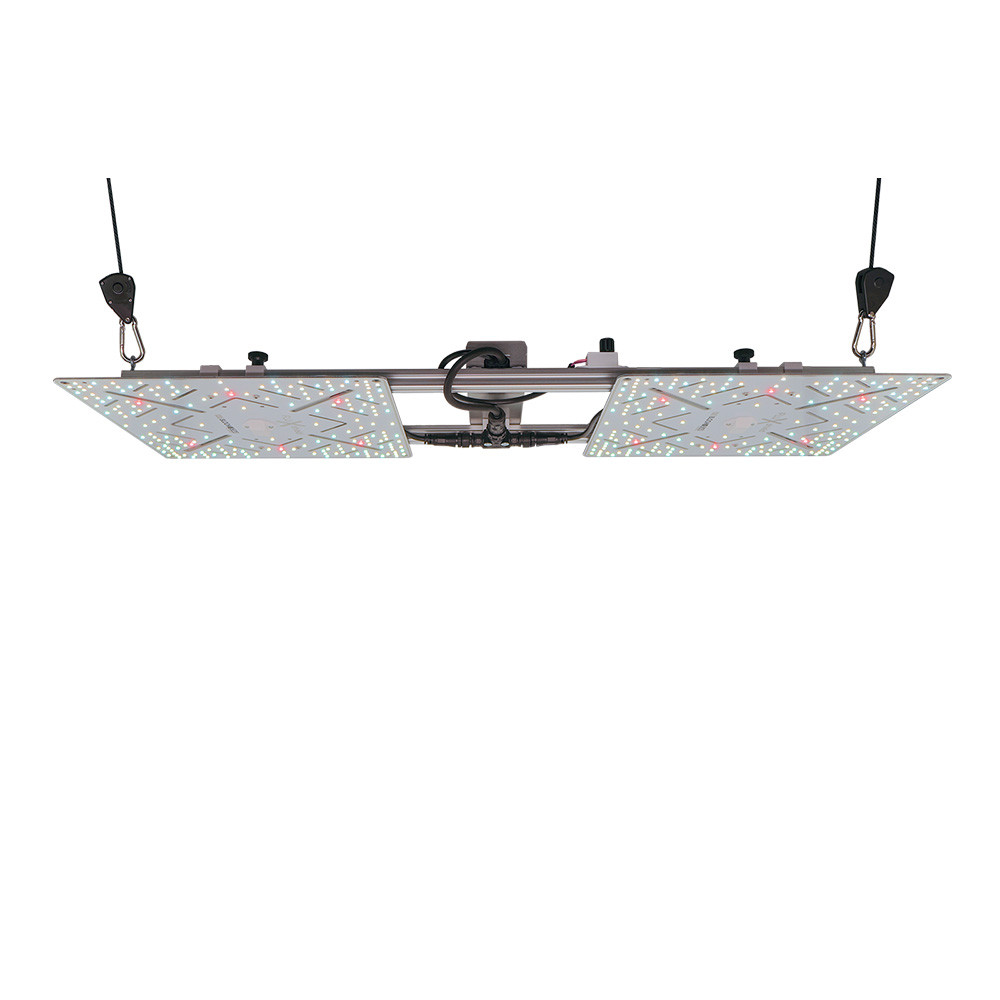 Bloomstar Wingman 600 by Crescience 220w