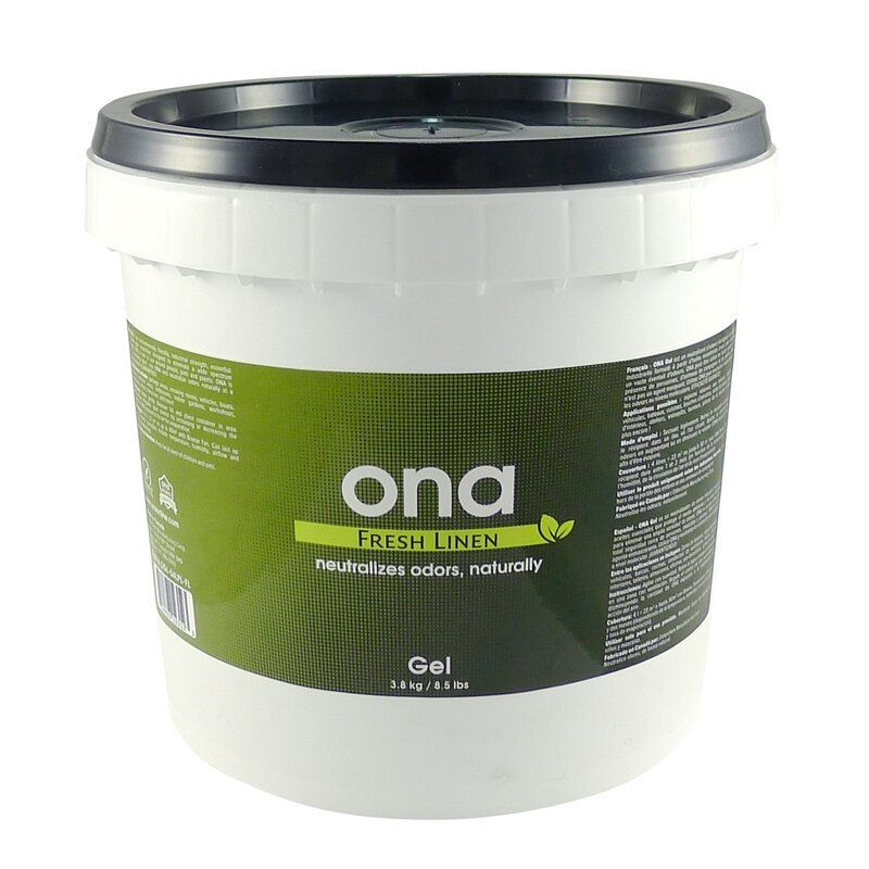 ONA-Gel - mehrere Größen und Aromen ONA Gel Apple Crumble Eimer (3,80 kg)